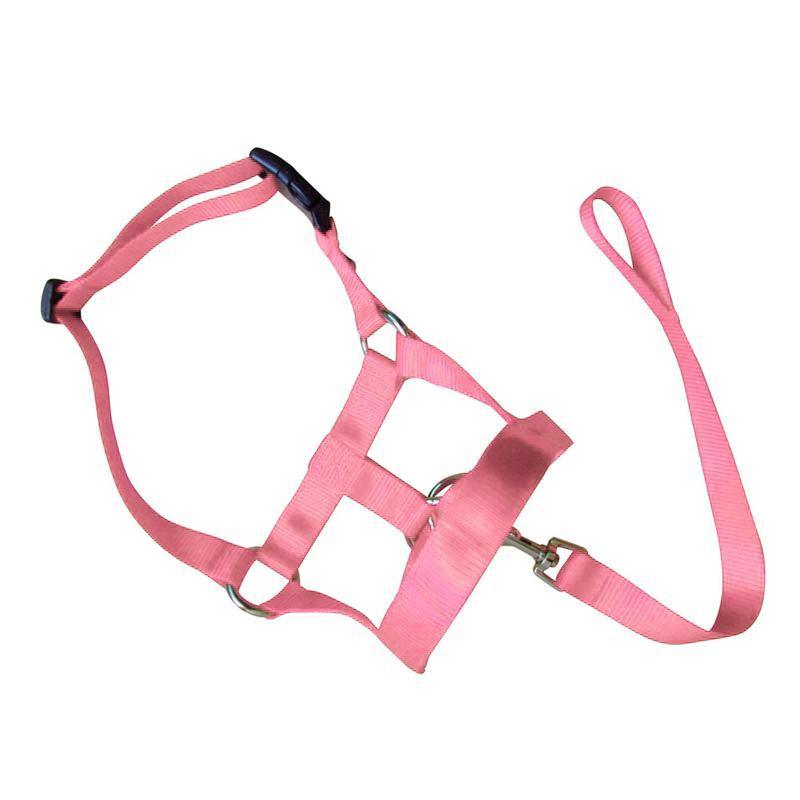Pink Dog Training Head Collar Halter Stop Pulling Training Tool Harness Strap Leader - L V528-MH00511-PINK-L-809239