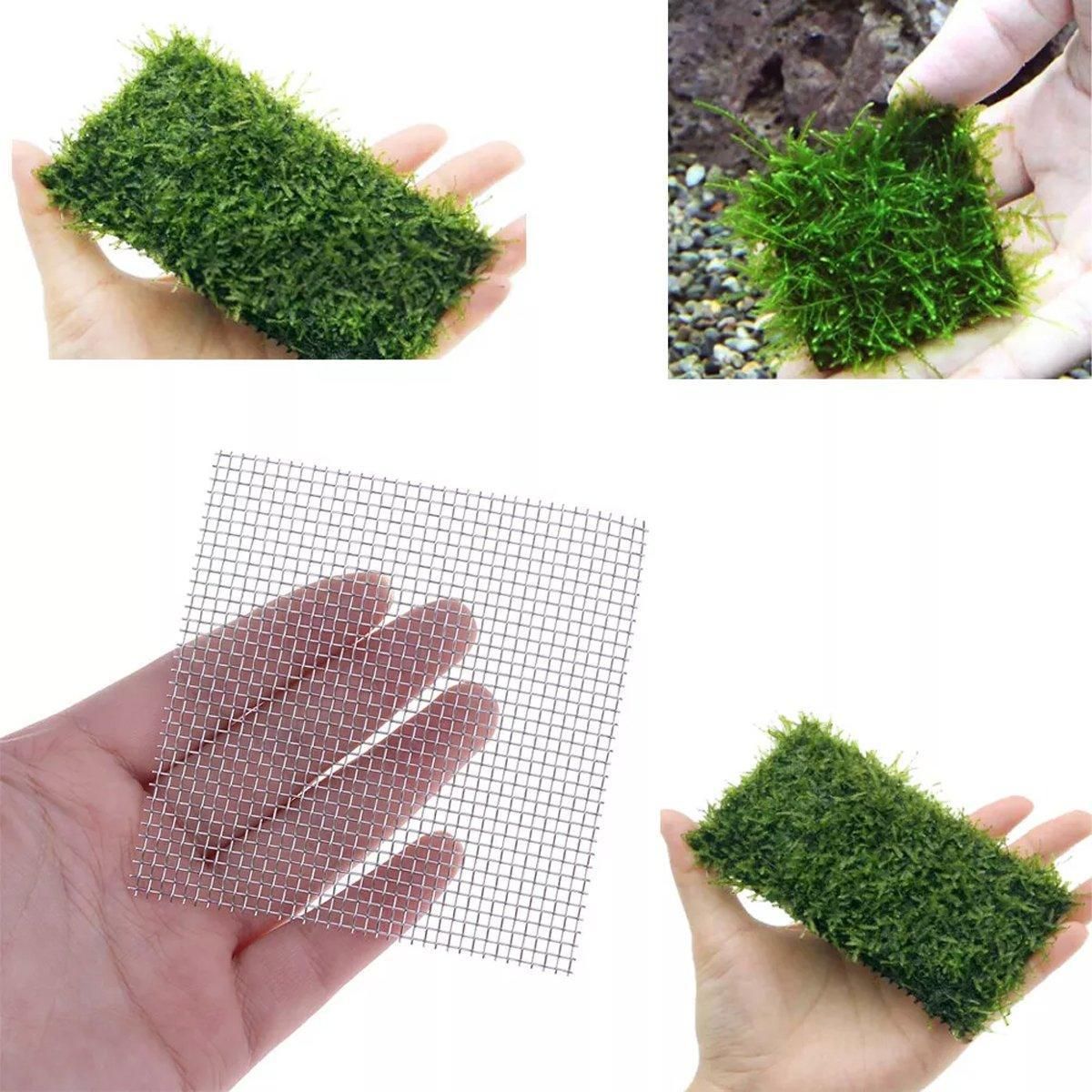 10pcs Stainless Steel Wire Mesh for Water Plants Fish Tank Aquarium Decoration - 8x8cm V528-MSWP-8X8CM-10PCS-727817