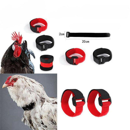 10pcs Rooster Anti Crow Collar Adjustable Nylon Neck Belt Poultry Sound Control - Black V528-NECKBELT-10PCS-BLACK-425679