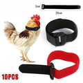 10pcs Rooster Anti Crow Collar Adjustable Nylon Neck Belt Poultry Sound Control - Red V528-NECKBELT-10PCS-RED-230160