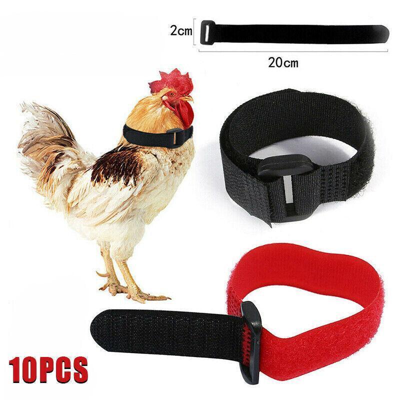10pcs Rooster Anti Crow Collar Adjustable Nylon Neck Belt Poultry Sound Control - Red V528-NECKBELT-10PCS-RED-230160