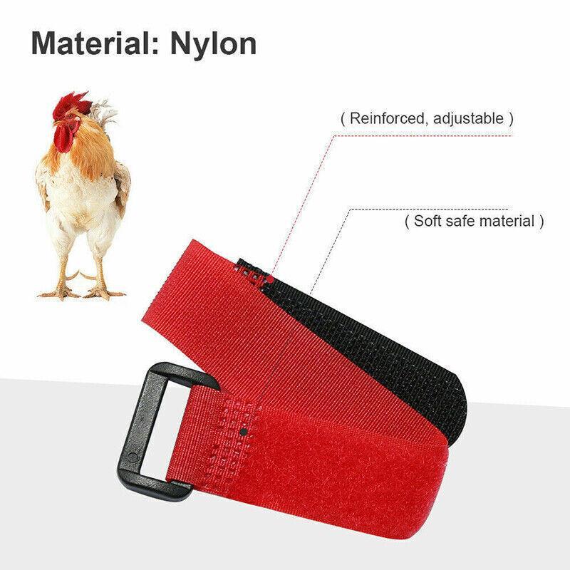 10pcs Rooster Anti Crow Collar Adjustable Nylon Neck Belt Poultry Sound Control - Red V528-NECKBELT-10PCS-RED-230160