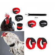 10pcs Rooster Anti Crow Collar Adjustable Nylon Neck Belt Poultry Sound Control - Red V528-NECKBELT-10PCS-RED-230160