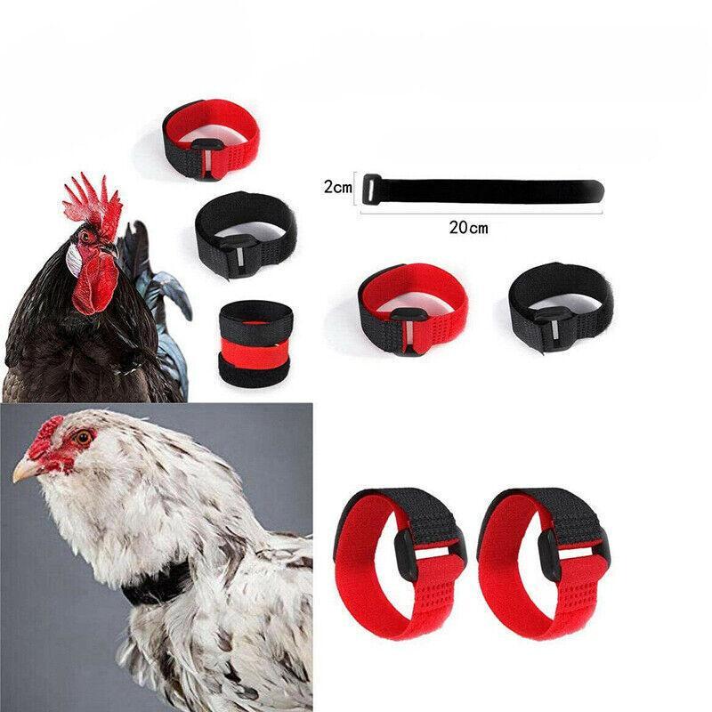 10pcs Rooster Anti Crow Collar Adjustable Nylon Neck Belt Poultry Sound Control - Red V528-NECKBELT-10PCS-RED-230160