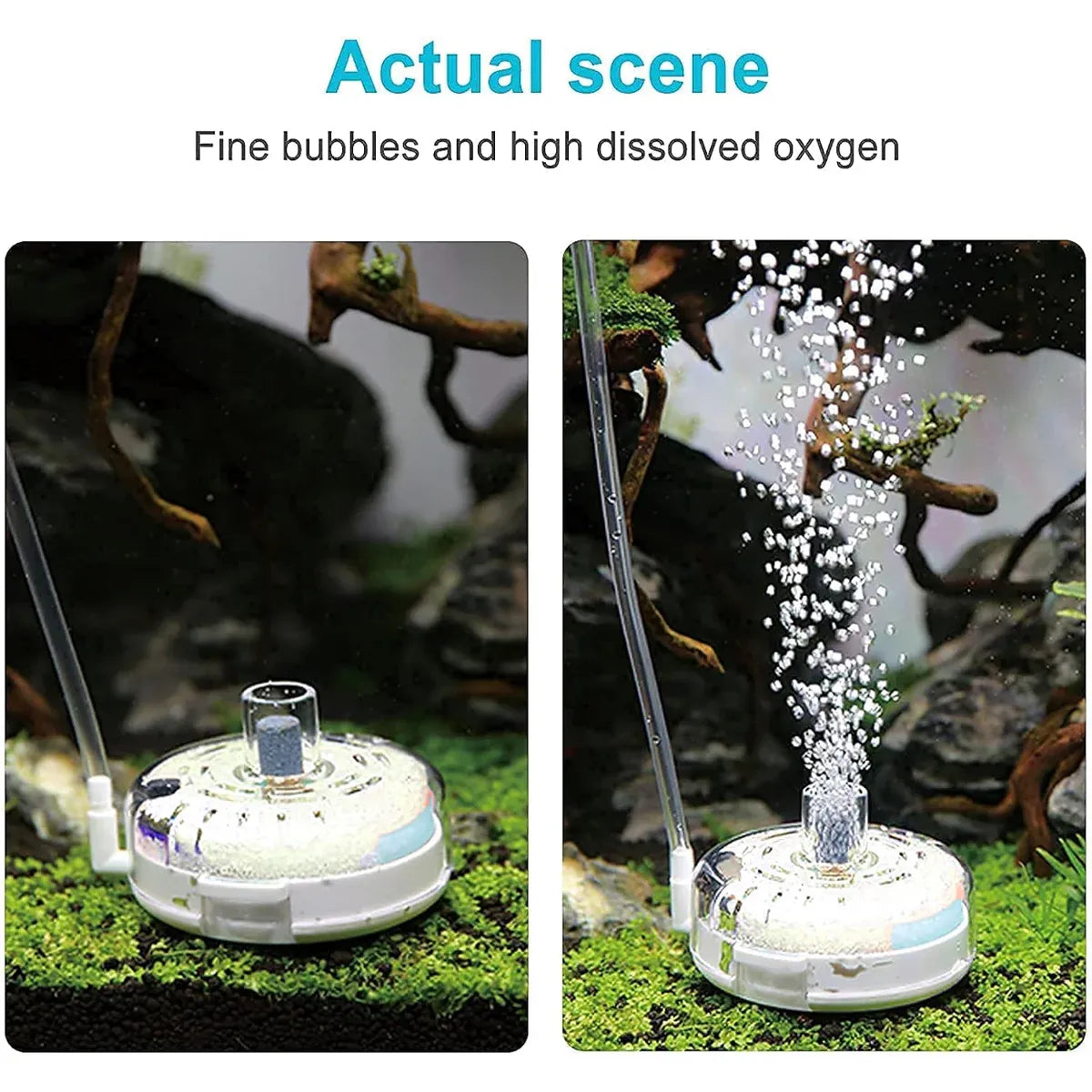 Aquarium Filter Special Mini Small Tank Filter Circle for Freshwater or Marine - 10cm Filter V528-OXYGEN-PUMP-10CM-281581