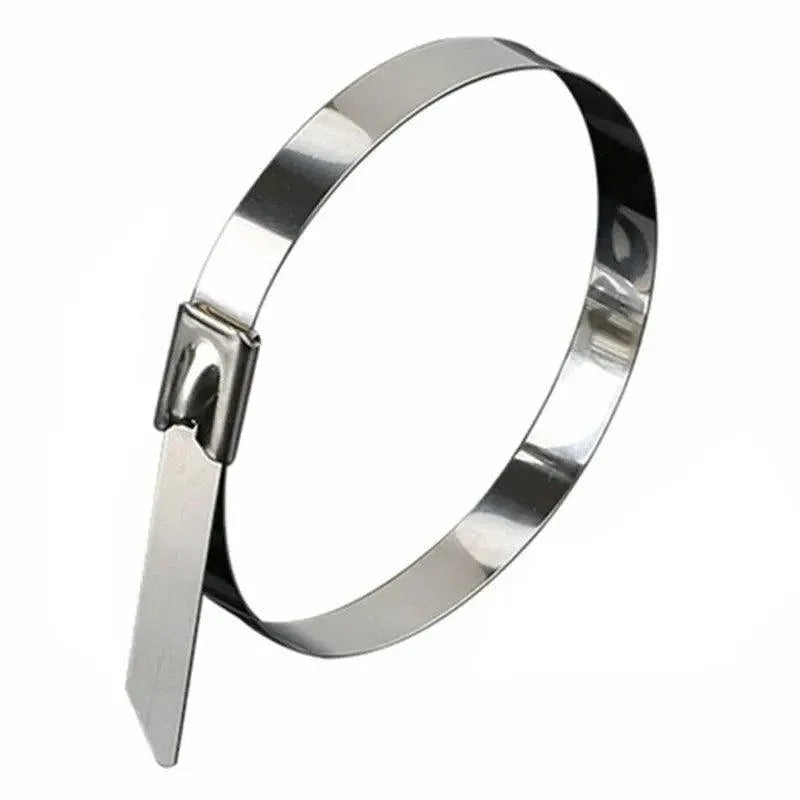 20X Stainless Steel Cable Ties S304 Marine Grade Zip Strap Locking Wrap 100-800Mm - 4.6x600mm
