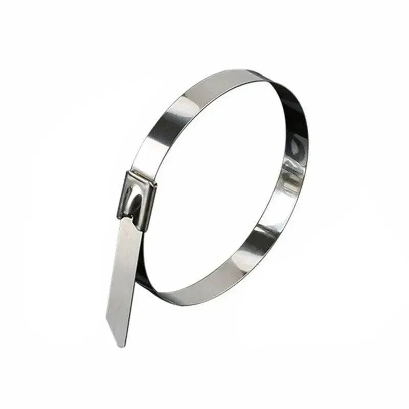 20X Stainless Steel Cable Ties S304 Marine Grade Zip Strap Locking Wrap 100-800Mm - 7.9x600mm