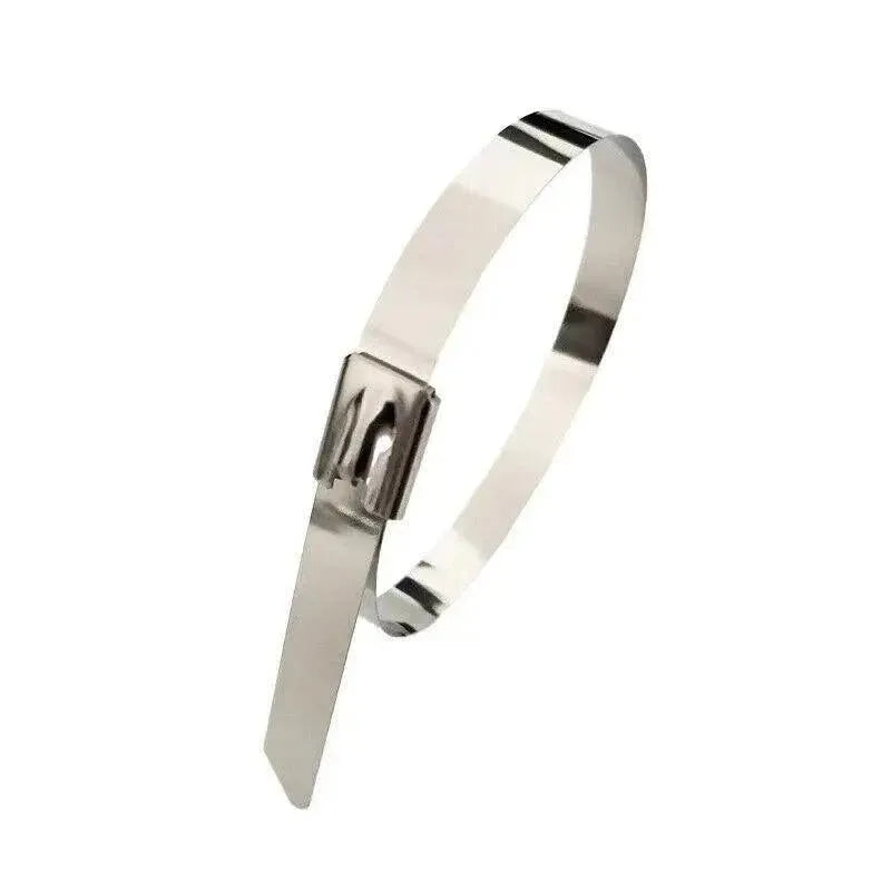 20X Stainless Steel Cable Ties S304 Marine Grade Zip Strap Locking Wrap 100-800Mm - 7.9x600mm