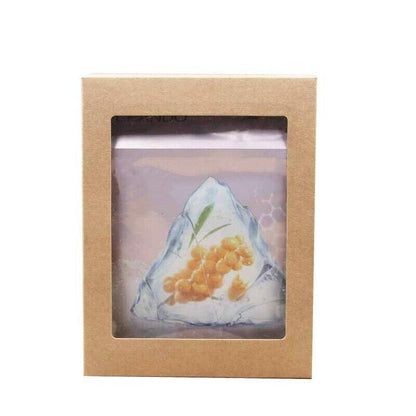 10 Pack Kraft Paper Boxes with Window Disposable Cardboard Gift Catering Trays - 20X15X5CM V528-PACKINGBO-LARGE-162249