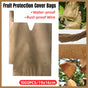 Paper Fruit Bags 100pcs Protective Bagging for Orchard Garden Harvest Storage V528-PAPER-BAG-1000PCS-16-19-638673