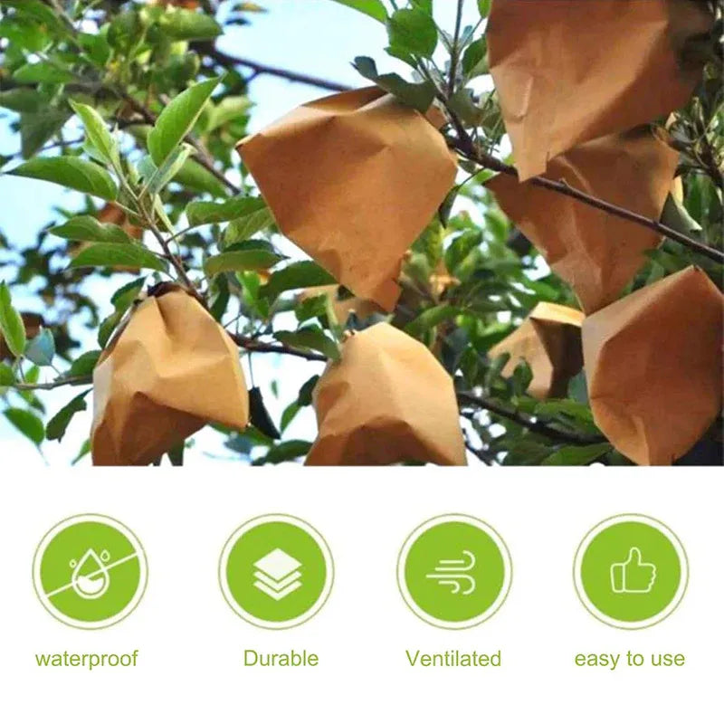 Paper Fruit Bags 100pcs Protective Bagging for Orchard Garden Harvest Storage V528-PAPER-BAG-1000PCS-16-19-638673