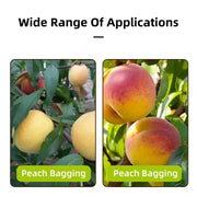 Paper Fruit Bags 100pcs Protective Bagging for Orchard Garden Harvest Storage V528-PAPER-BAG-1000PCS-16-19-638673