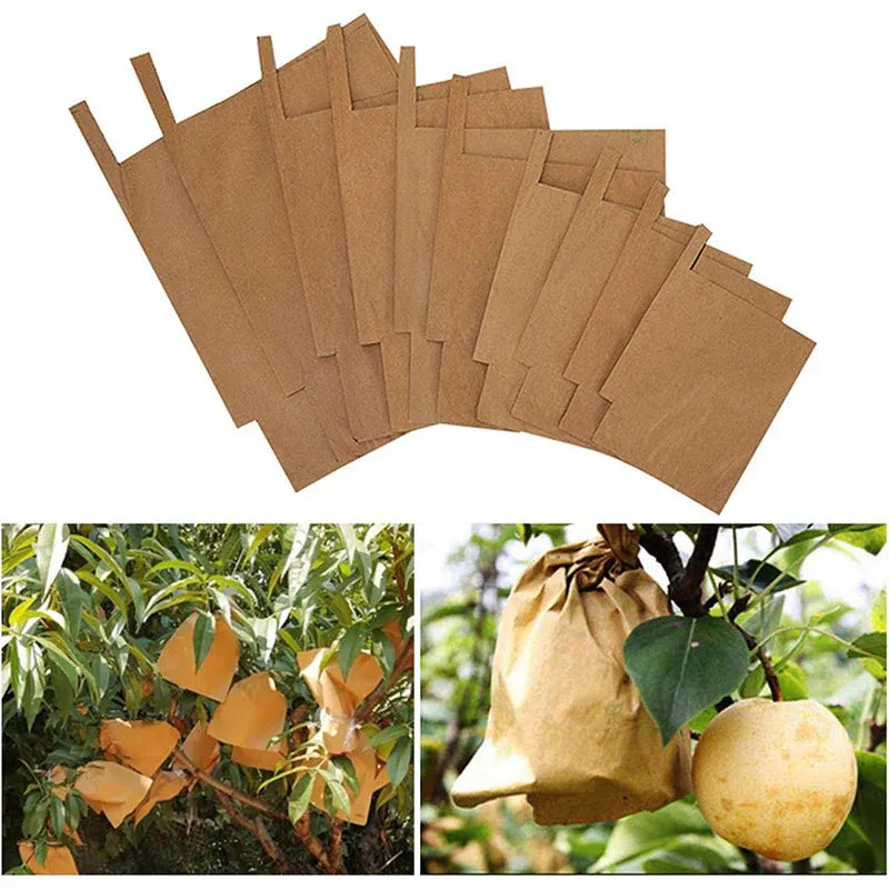 Paper Fruit Bags 100pcs Protective Bagging for Orchard Garden Harvest Storage V528-PAPER-BAG-1000PCS-16-19-638673