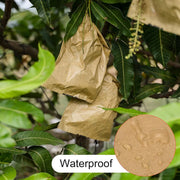 Paper Fruit Bags 100pcs Protective Bagging for Orchard Garden Harvest Storage V528-PAPER-BAG-1000PCS-16-19-638673