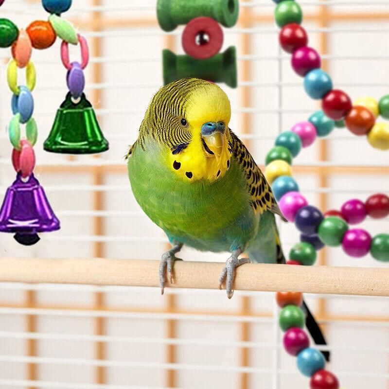 10pcs Parrot Toys Set Swing Ladder Chew Bell Toys for Cockatiels Budgies Cages V528-PARROTTOYS-10PCS-782146