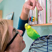 10pcs Parrot Toys Set Swing Ladder Chew Bell Toys for Cockatiels Budgies Cages V528-PARROTTOYS-10PCS-782146