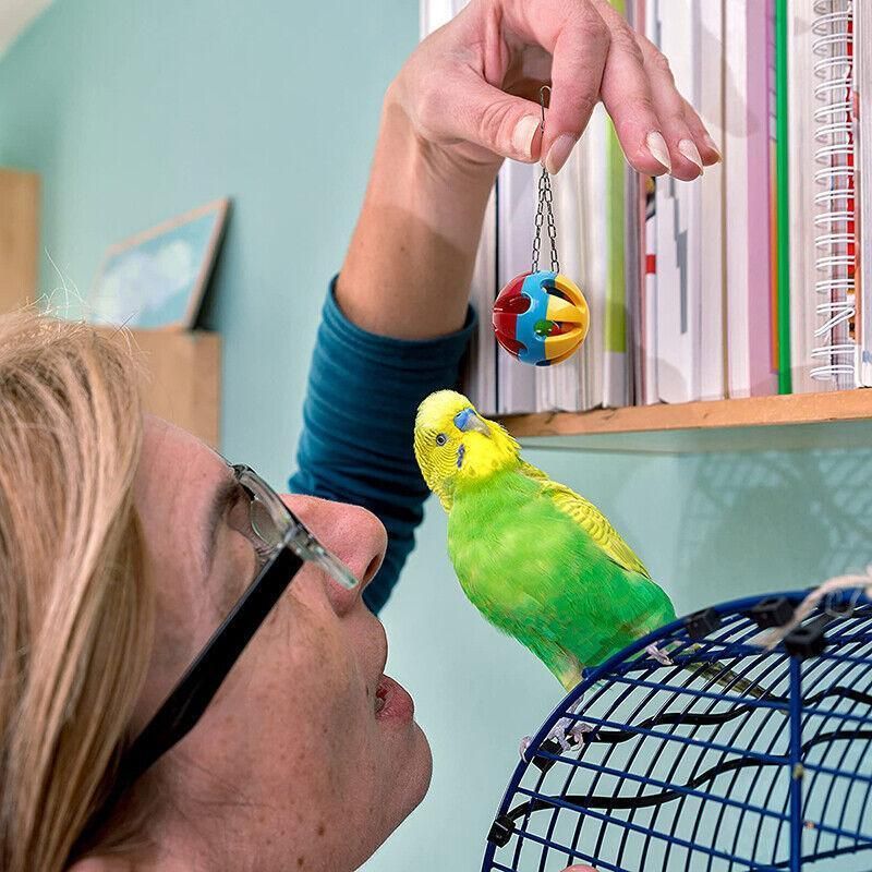 10pcs Parrot Toys Set Swing Ladder Chew Bell Toys for Cockatiels Budgies Cages V528-PARROTTOYS-10PCS-782146