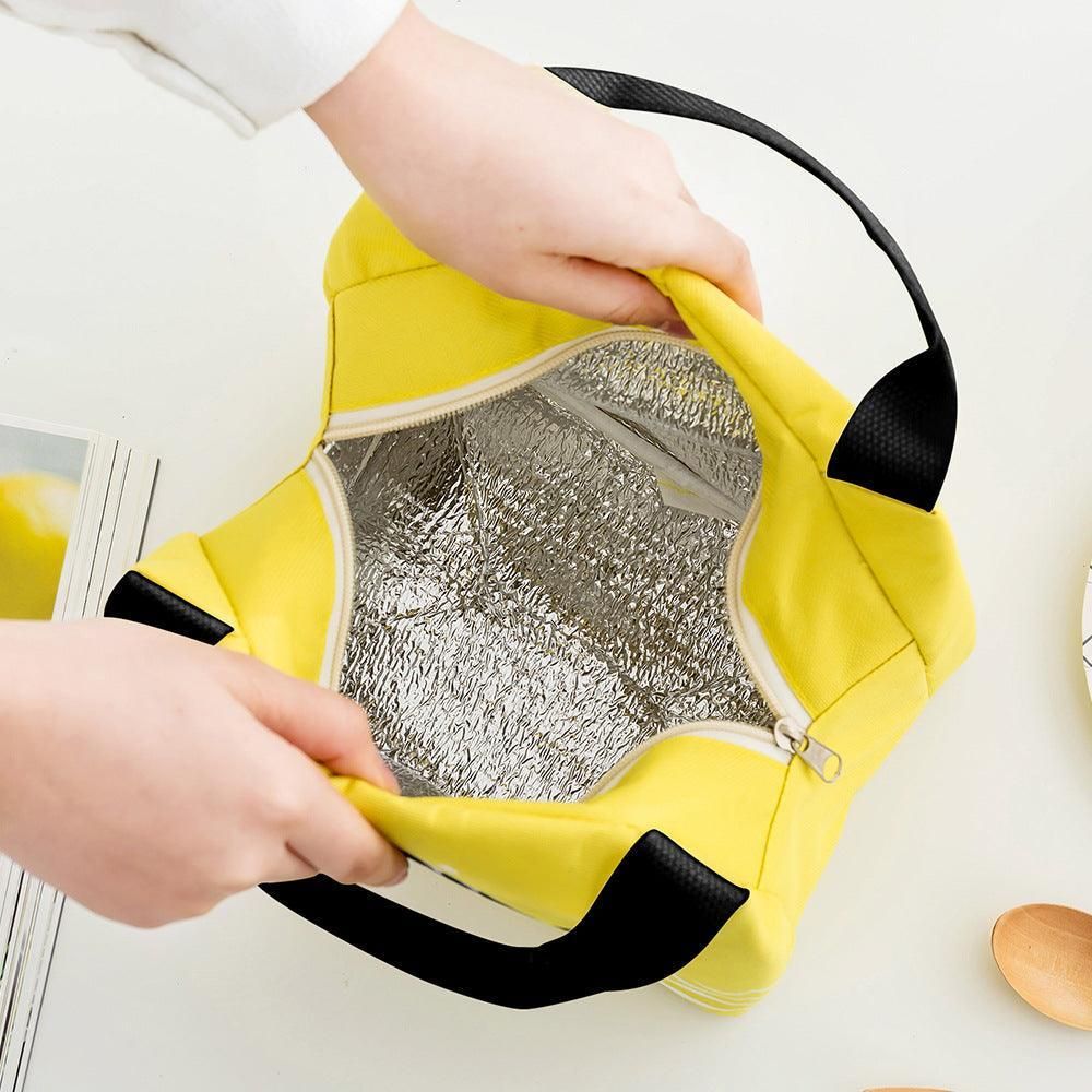 Portable Insulated Thermal Lunch Box Carry Tote Picnic Case Storage Bag 21x17x15cm - B02 (21x17x15cm) V528-PATTERN-B0271499