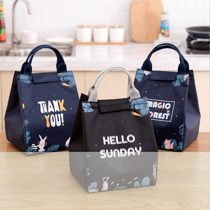 Portable Insulated Thermal Lunch Box Carry Tote Picnic Case Storage Bag 18x24x15cm - E03 (18x24x15cm) V528-PATTERN-E0370742