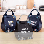 Portable Insulated Thermal Lunch Box Carry Tote Picnic Case Storage Bag 18x24x15cm - E08 (18x24x15cm) V528-PATTERN-E0822184