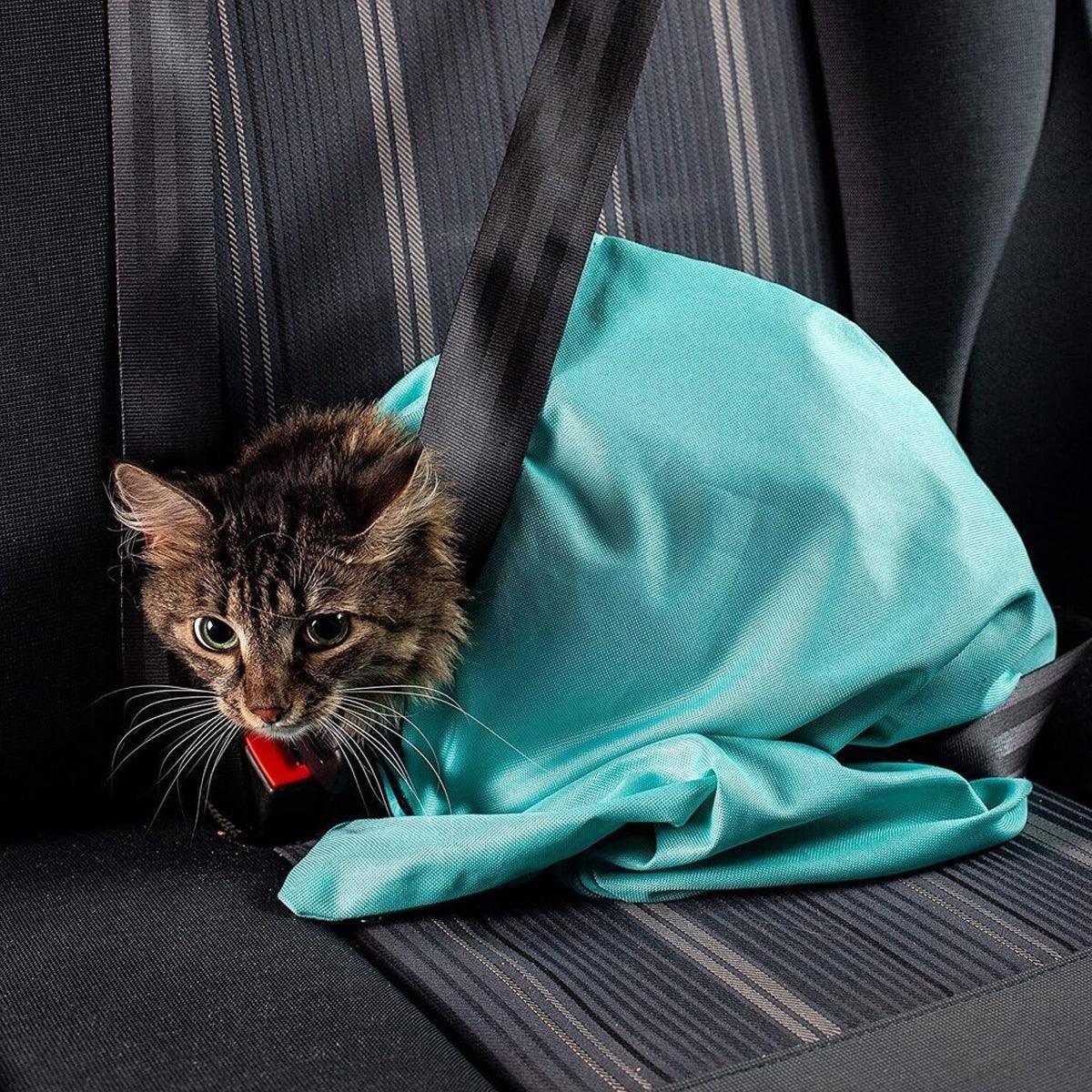 Portable Pet Shoulder Tote Bag for Cats and Small Dogs Outdoor Travel Carrier - Black V528-PET-BAG-BLACK-703478