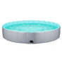 Pet Swimming Pool Foldable Portable Pool for Dogs Outdoor Summer Play - Grey-120x30cm V528-PET-BATH-GREY-CYAN-120-30-220763
