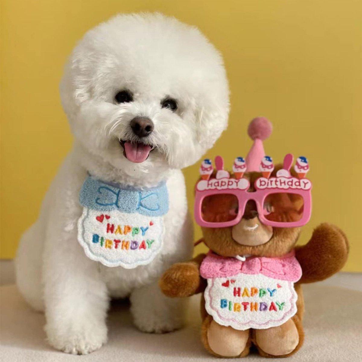 Pet Birthday Dog Cat Bib Scarf Hat Accessory Dogs Cats Celebration - Orange V528-PET-BIRTHDAY-SET-ORANGE-319068