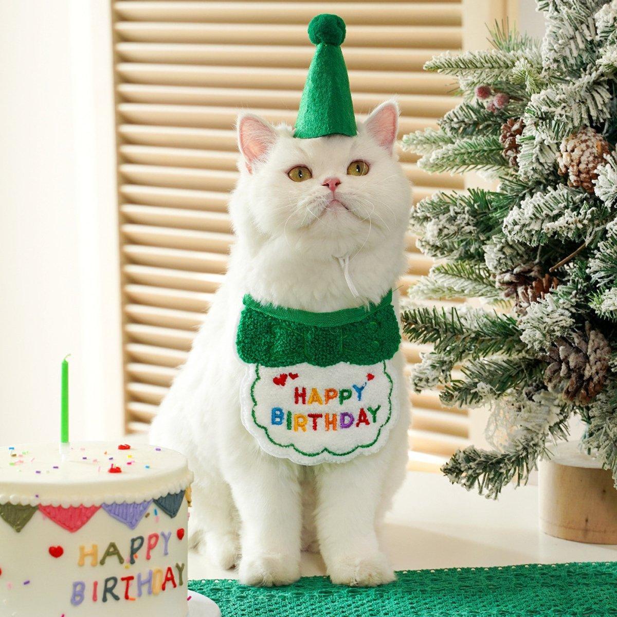 Pet Birthday Dog Cat Bib Scarf Hat Accessory Dogs Cats Celebration - Orange V528-PET-BIRTHDAY-SET-ORANGE-319068
