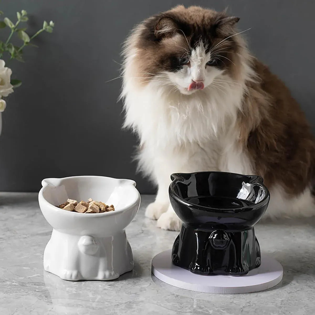 Ceramic Cat Bowl Cute Tall Raised Cat Food Bowl for Pets Eating Comfortably - Black V528-PET-BOWL-BELL-BLACK-487280