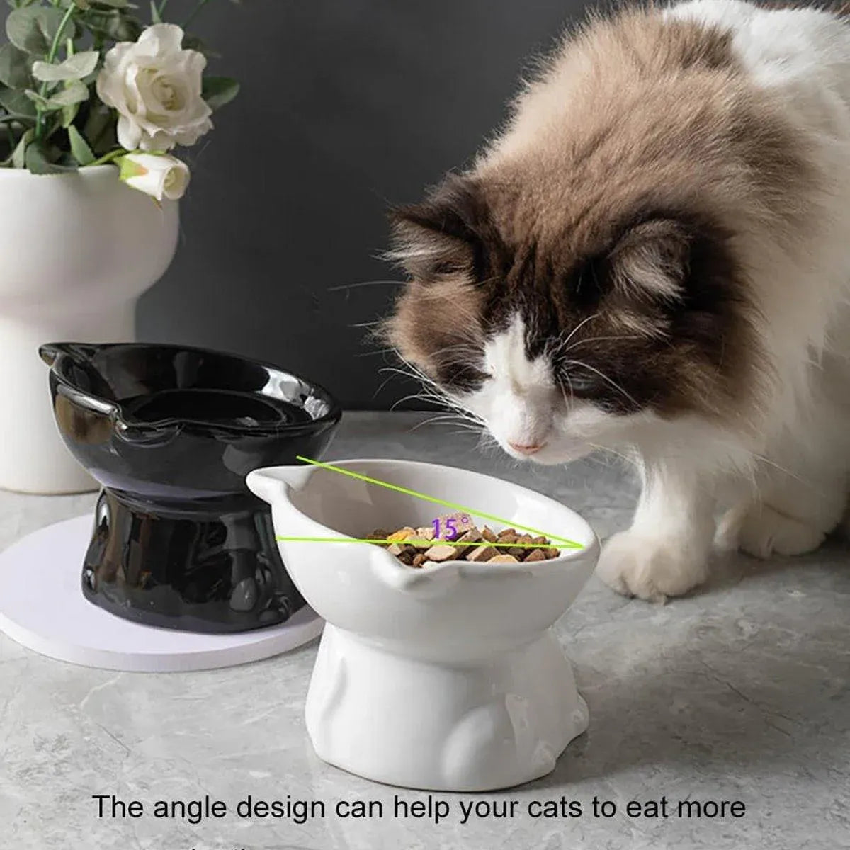 Ceramic Cat Bowl Cute Tall Raised Cat Food Bowl for Pets Eating Comfortably - White V528-PET-BOWL-BELL-WHITE-331102