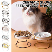 Ceramic Cat Bowl Slow Feeder Pet Food Tray for Cats and Dogs Non Slip Design - Black Bowl-Black Tray Rack V528-PET-BOWL-BLACK-BLACK-796412