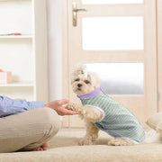 Striped Dog Clothes Belly Protector Vest Tummy Wrap Shirt for Small Dogs Puppies - Grey-XXL V528-PET-CLOTHES-GREY-XXL-473569