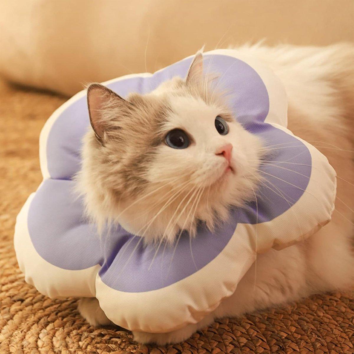 Elizabethan Cat Recovery Collar Anti Licking Pet Cone Protective Neck Ring - Purple-L V528-PET-COLLAR-PURPLE-L-688260