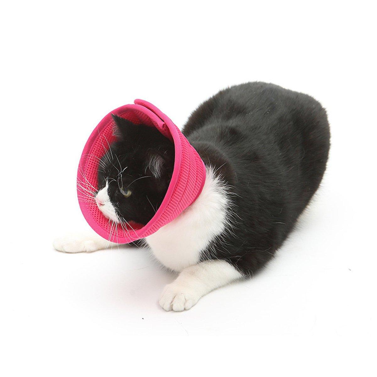 Elizabethan Collar Anti Licking Biting Pet Collar for Cats and Dogs Recovery Use - Rose Red-Size2 V528-PET-COLLAR-ROSE-RED-2-420274