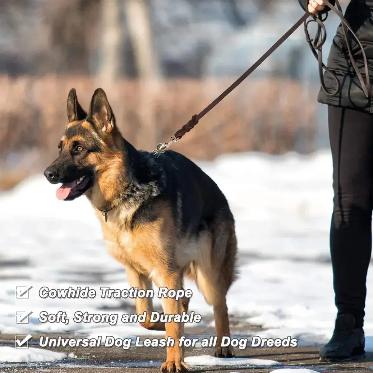 Dog Leash Cowhide Lead Heavy Duty Leather M Size Brown For Walking Training - Black V528-PET-LEASH-BLACK-980562