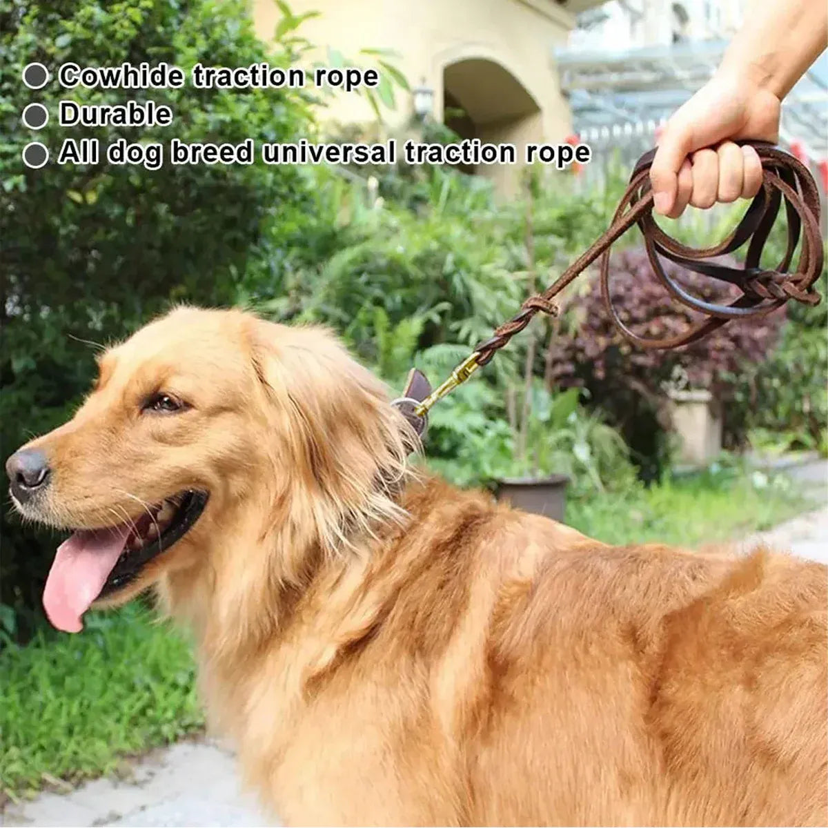 Dog Leash Cowhide Lead Heavy Duty Leather M Size Brown For Walking Training - Black V528-PET-LEASH-BLACK-980562