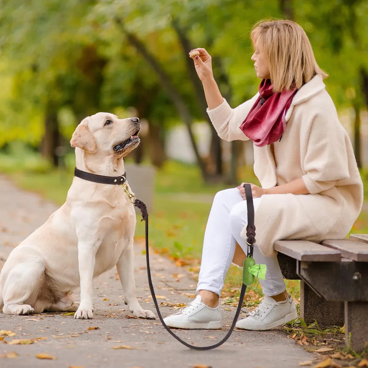 Dog Leash Cowhide Lead Heavy Duty Leather M Size Brown For Walking Training - Black V528-PET-LEASH-BLACK-980562