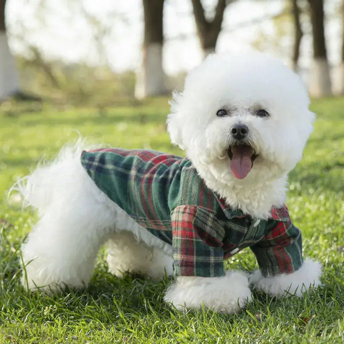 Soft Puppy Plaid Shirt Dog Clothes Jumpsuit Cat Pet Check Coat Summer T-shirt - Brown-S V528-PET-PLAID-SHIRT-BROWN-S-379049