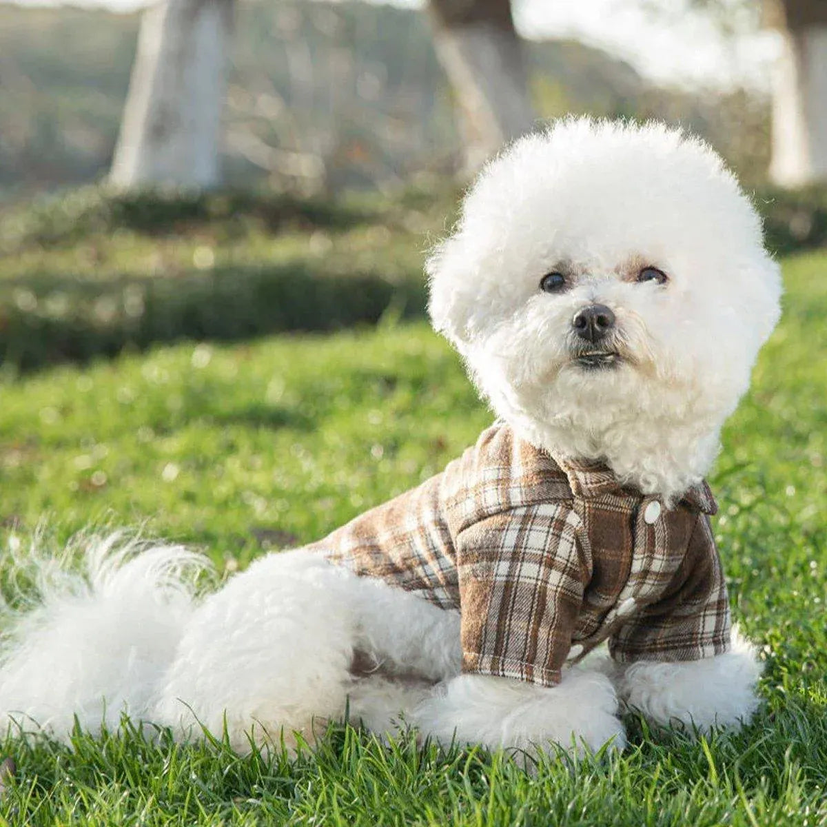 Soft Puppy Plaid Shirt Dog Clothes Jumpsuit Cat Pet Check Coat Summer T-shirt - Brown-S V528-PET-PLAID-SHIRT-BROWN-S-379049