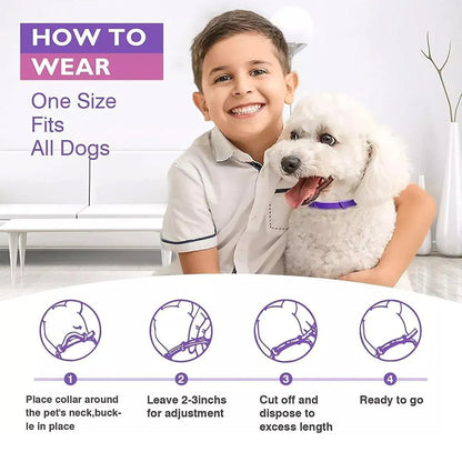 3/4pcs Calming Collar for Cats and Dogs Soothing Pet Relief Collar Long Lasting - 70cm-3PCS V528-PET-RELIEF-COLLAR-DOG-3PCS-509453