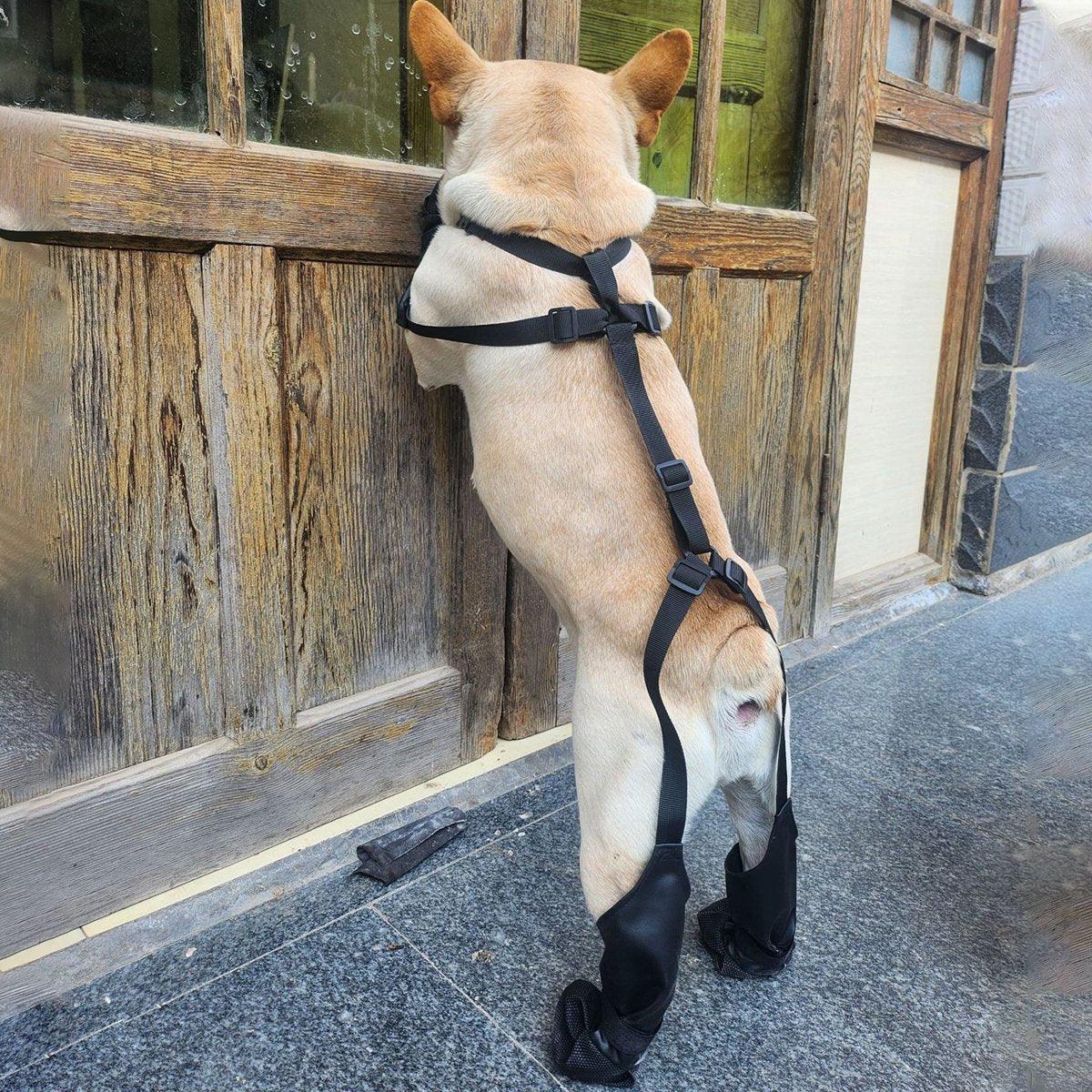 Dog Adjustable Suspender Boots Waterproof Dog Shoes Anti-Slip Pet Paw Protector - M V528-PET-SHOES-BLACK-M-590109