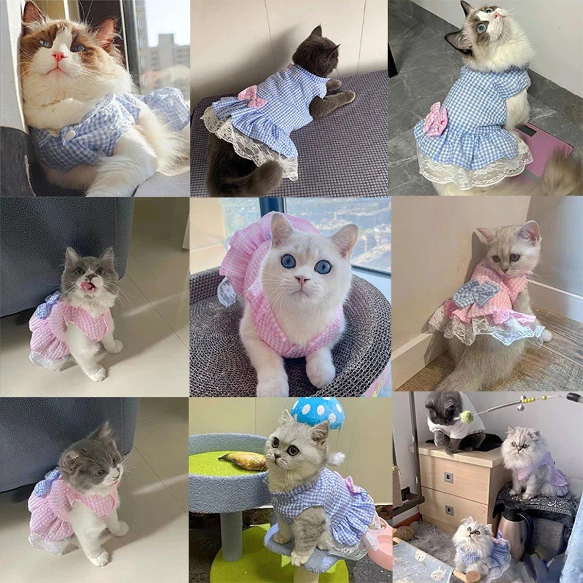 Cute Small Dog Dress Puppy Clothing Pet Apparel for Summer Fashion Outfit - Pink - M V528-PET-SKIRT-FG-M-425775