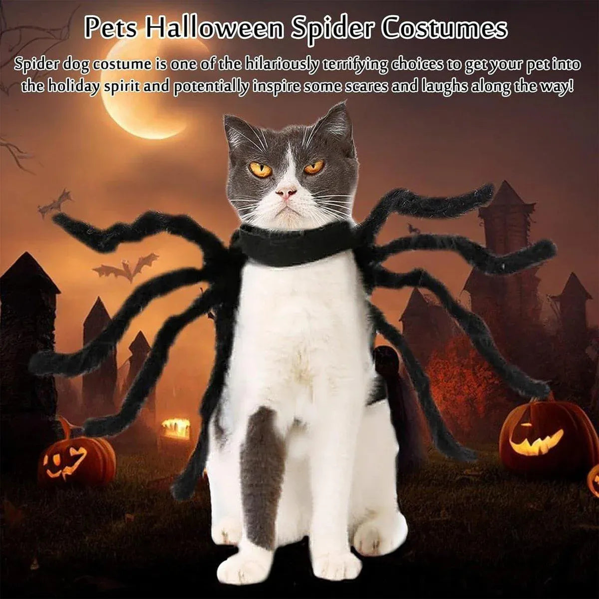Pet Spooky Big Spider Halloween Costume Dress Up for Dogs Cats and Small Pets - L V528-PET-SPIDER-SUIT-L-559650