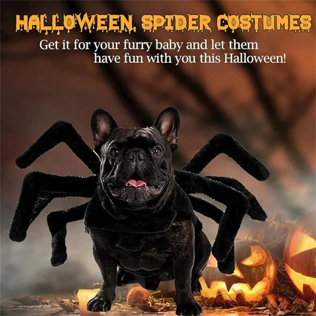 Pet Spooky Big Spider Halloween Costume Dress Up for Dogs Cats and Small Pets - L V528-PET-SPIDER-SUIT-L-559650