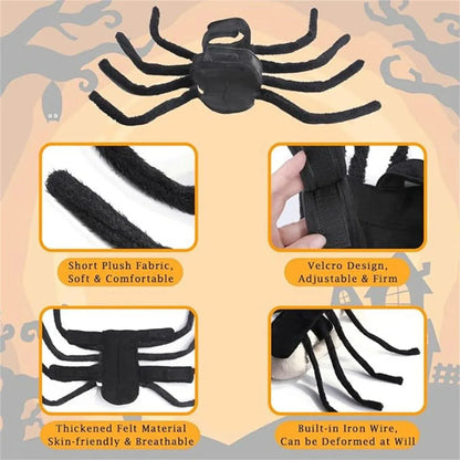 Pet Spooky Big Spider Halloween Costume Dress Up for Dogs Cats and Small Pets - L V528-PET-SPIDER-SUIT-L-559650