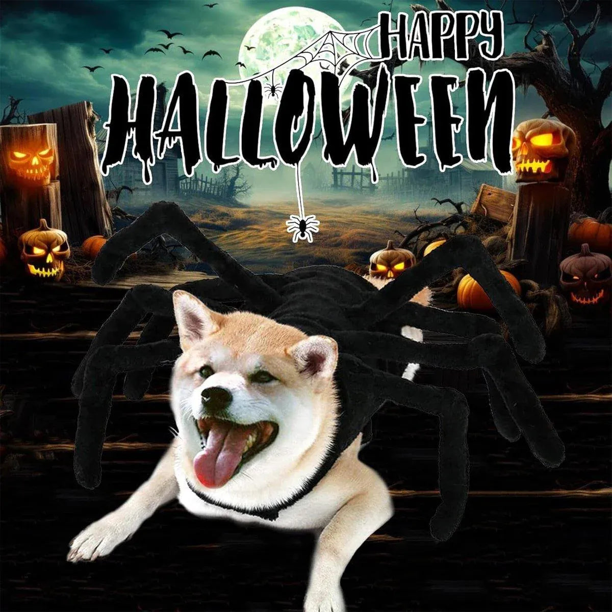 Pet Spooky Big Spider Halloween Costume Dress Up for Dogs Cats and Small Pets - L V528-PET-SPIDER-SUIT-L-559650