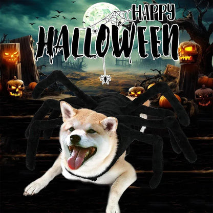 Pet Spooky Big Spider Halloween Costume Dress Up for Dogs Cats and Small Pets - L V528-PET-SPIDER-SUIT-L-559650