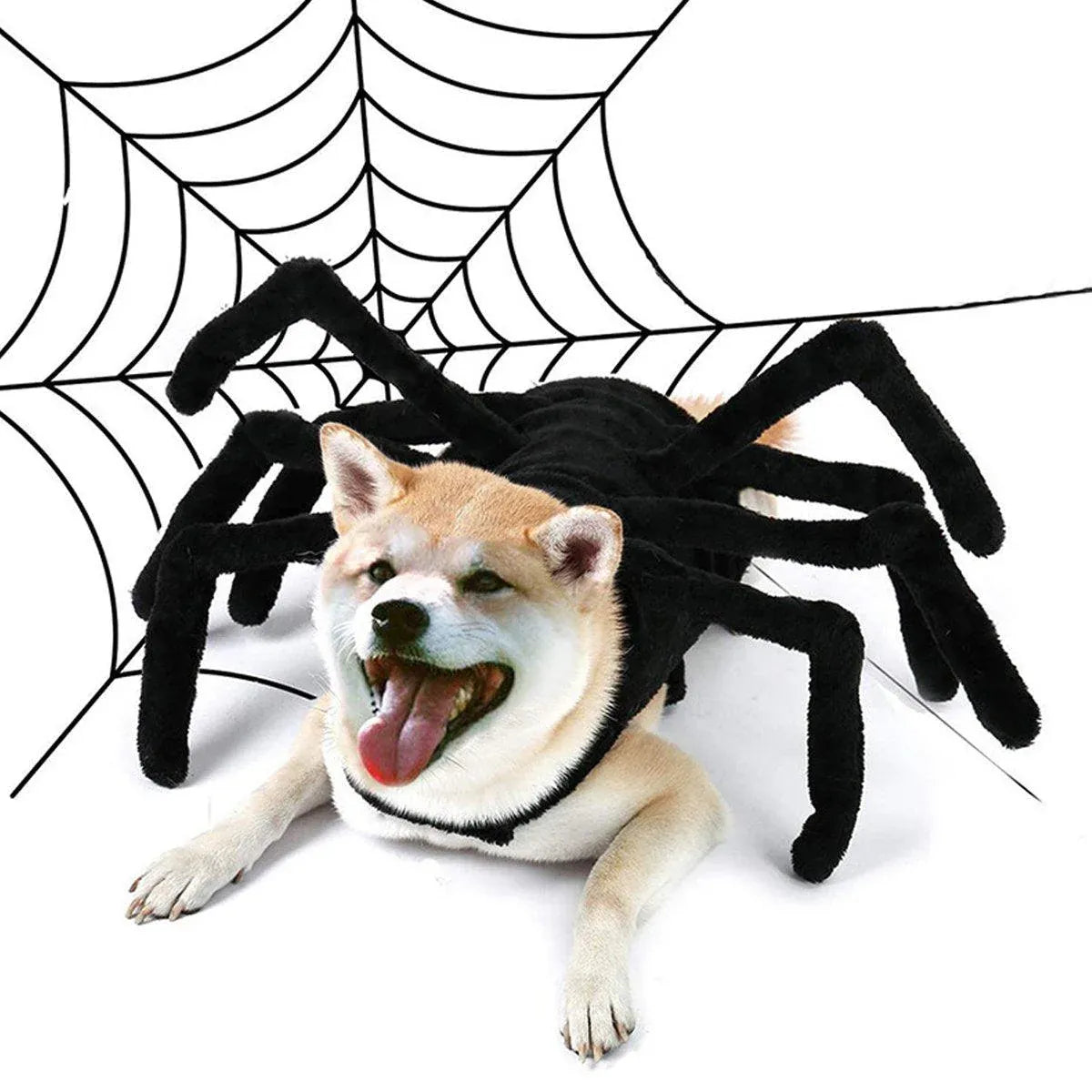 Pet Spooky Big Spider Halloween Costume Dress Up for Dogs Cats and Small Pets - L V528-PET-SPIDER-SUIT-L-559650