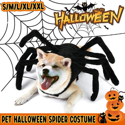 Pet Spooky Big Spider Halloween Costume Dress Up for Dogs Cats and Small Pets - L V528-PET-SPIDER-SUIT-L-559650
