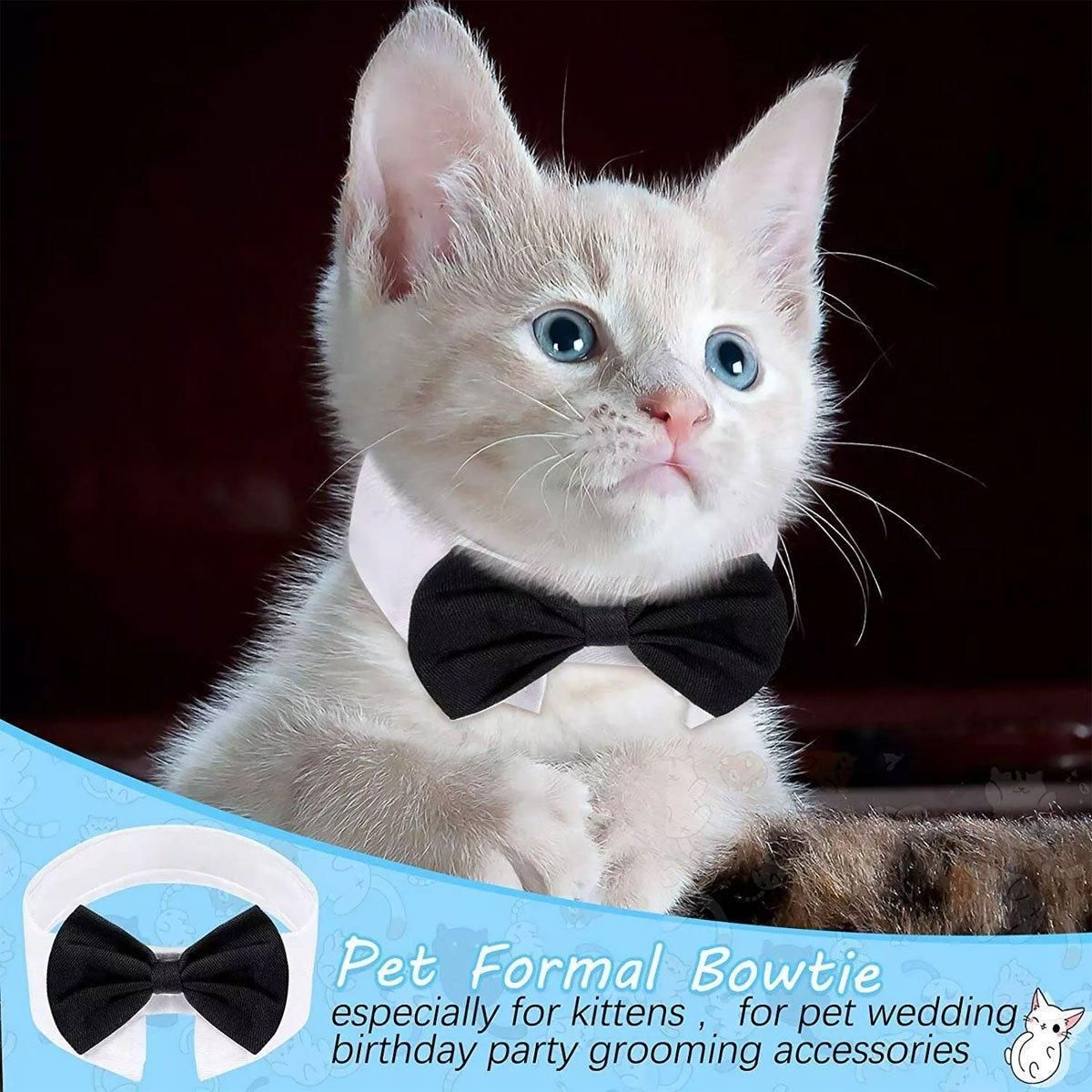 2pcs Pet Bow Tie Collar Dog Cat Suit Dress Accessories Adjustable Neck Strap - S V528-PET-TIE-BOWTIE-SUIT-S-597628